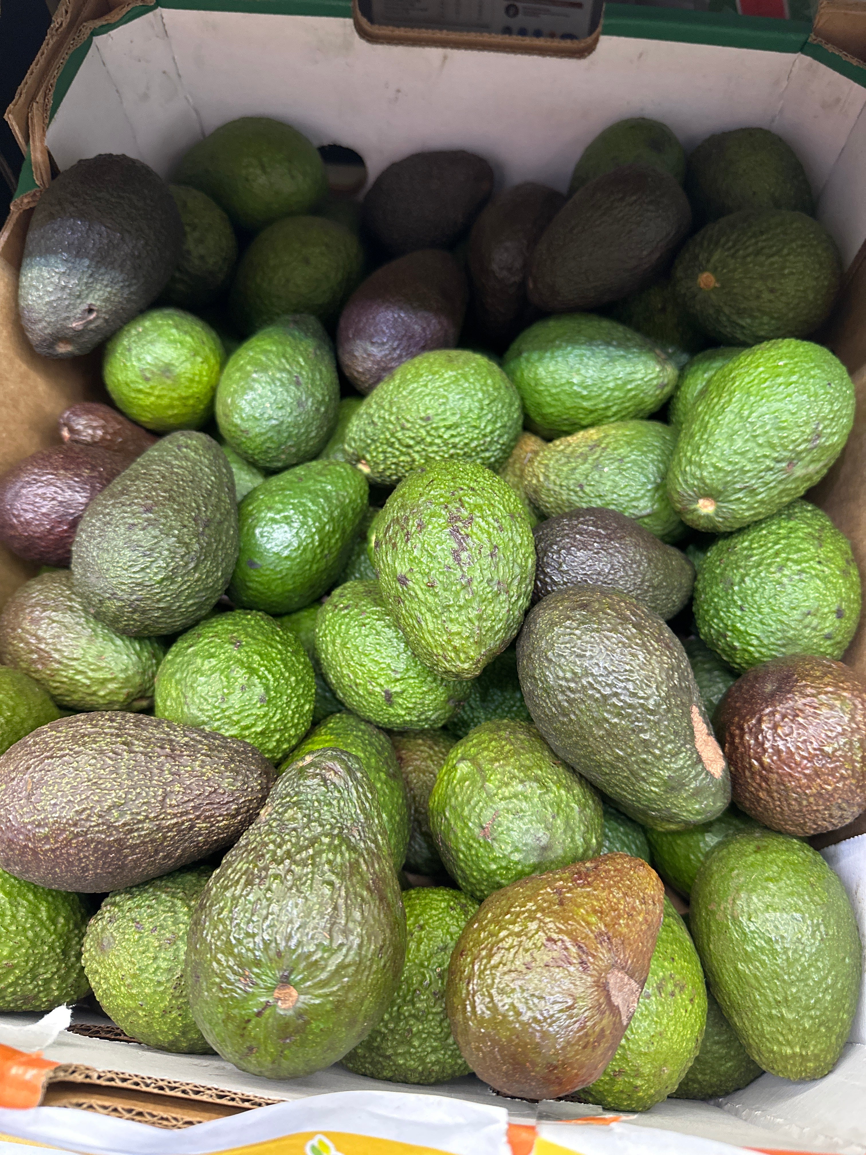 [FRESH] Organic Avocado 3pcs