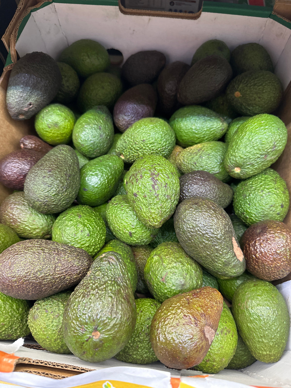 [FRESH] Organic Avocado 3pcs