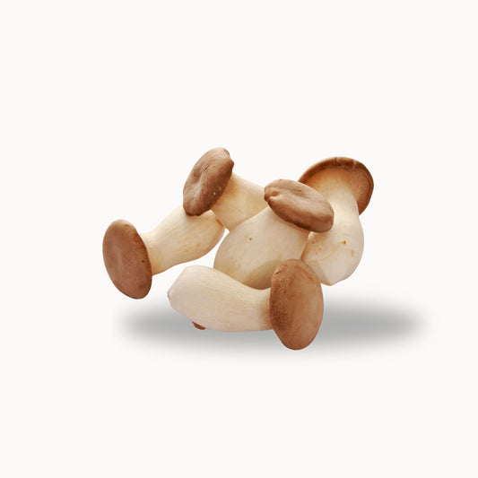 [FRESH] Organic Erinji Mushroom 140g Thailand