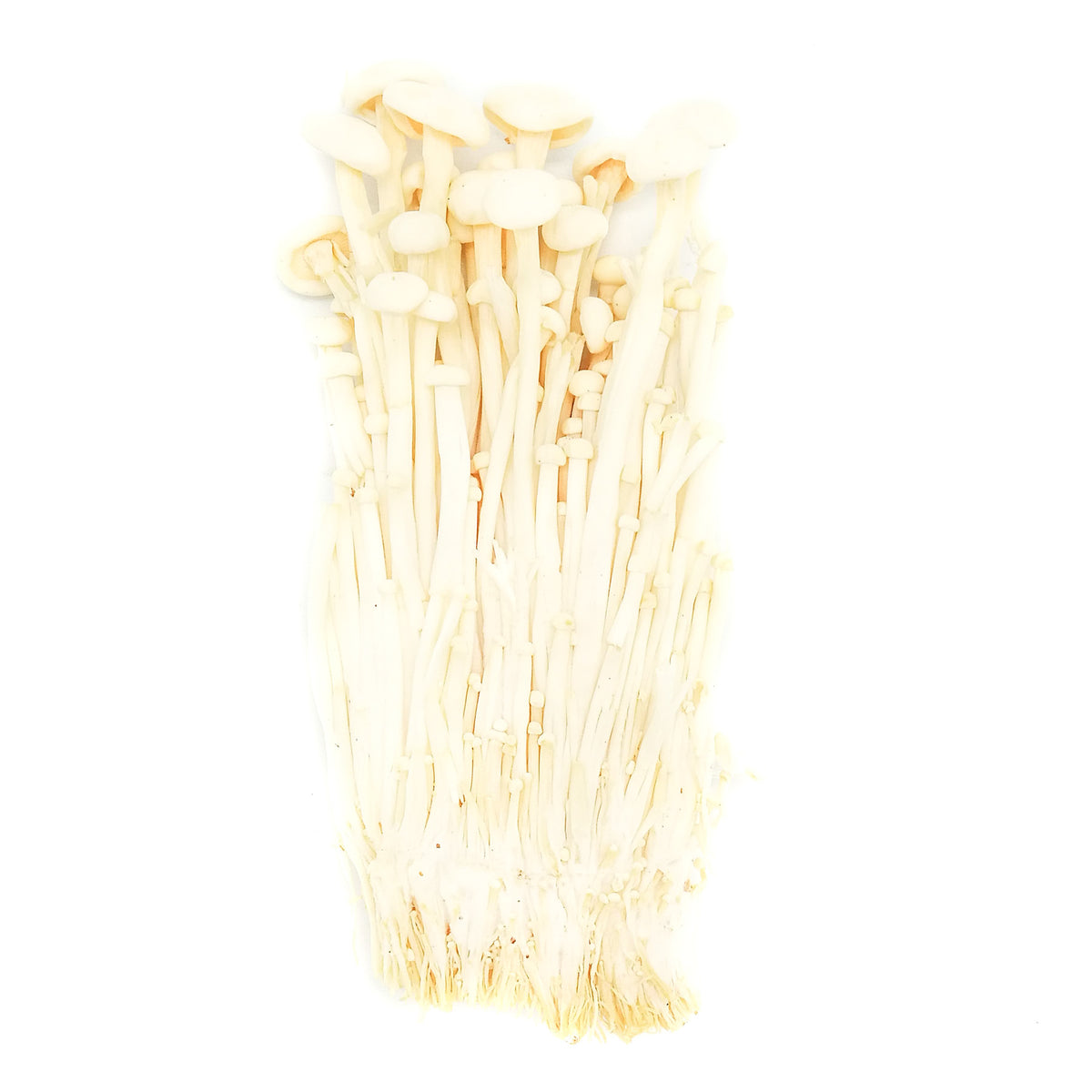[FRESH] Organic Enoki Mushroom 140g Thailand