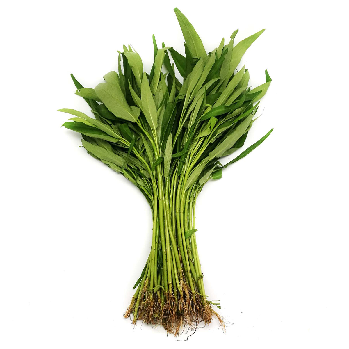 [FRESH] Organic Kang Kong 200g Malaysia