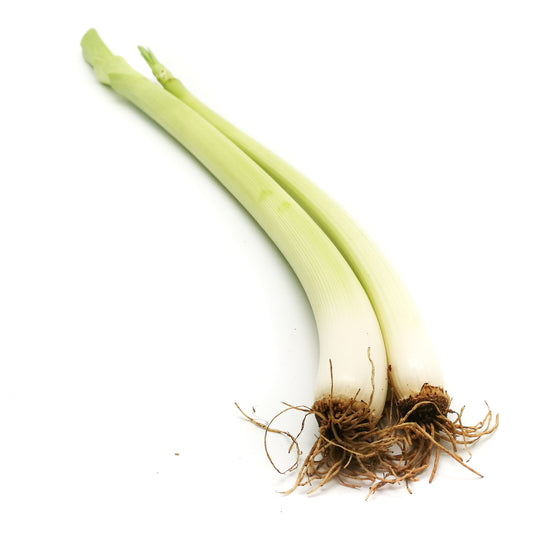 [FRESH] Organic Leek Australia 200g