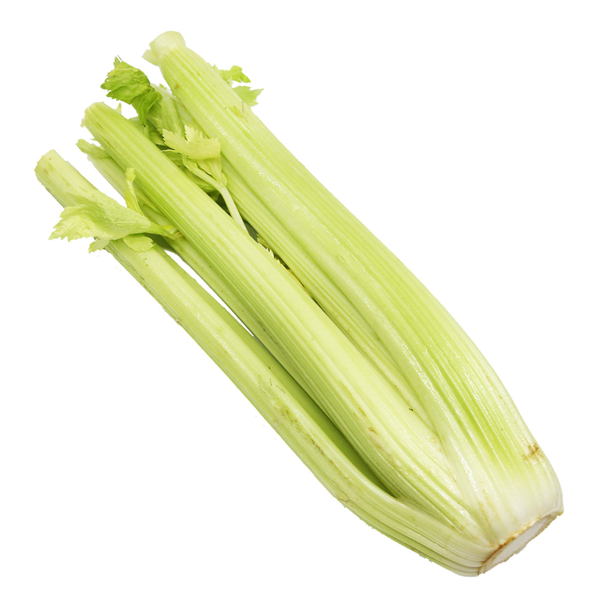 [FRESH] Organic Celery Australia 600g