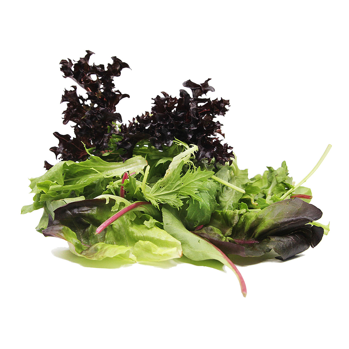 [FRESH] Organic Mixed Salad 125g Italy