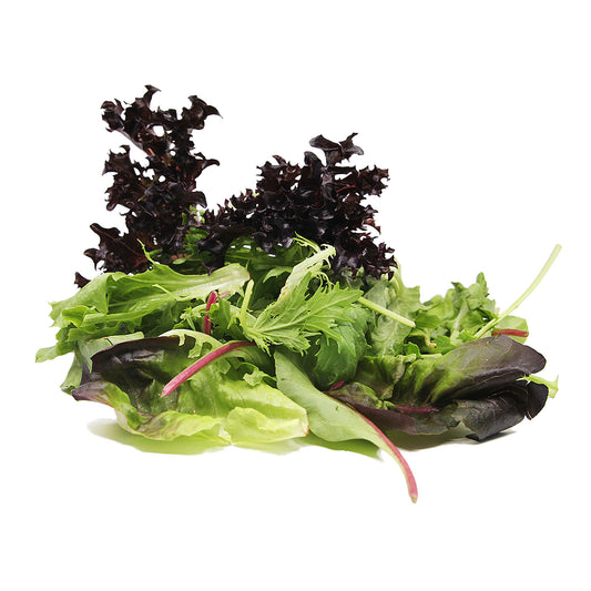 [FRESH] Organic Mixed Salad 125g Italy
