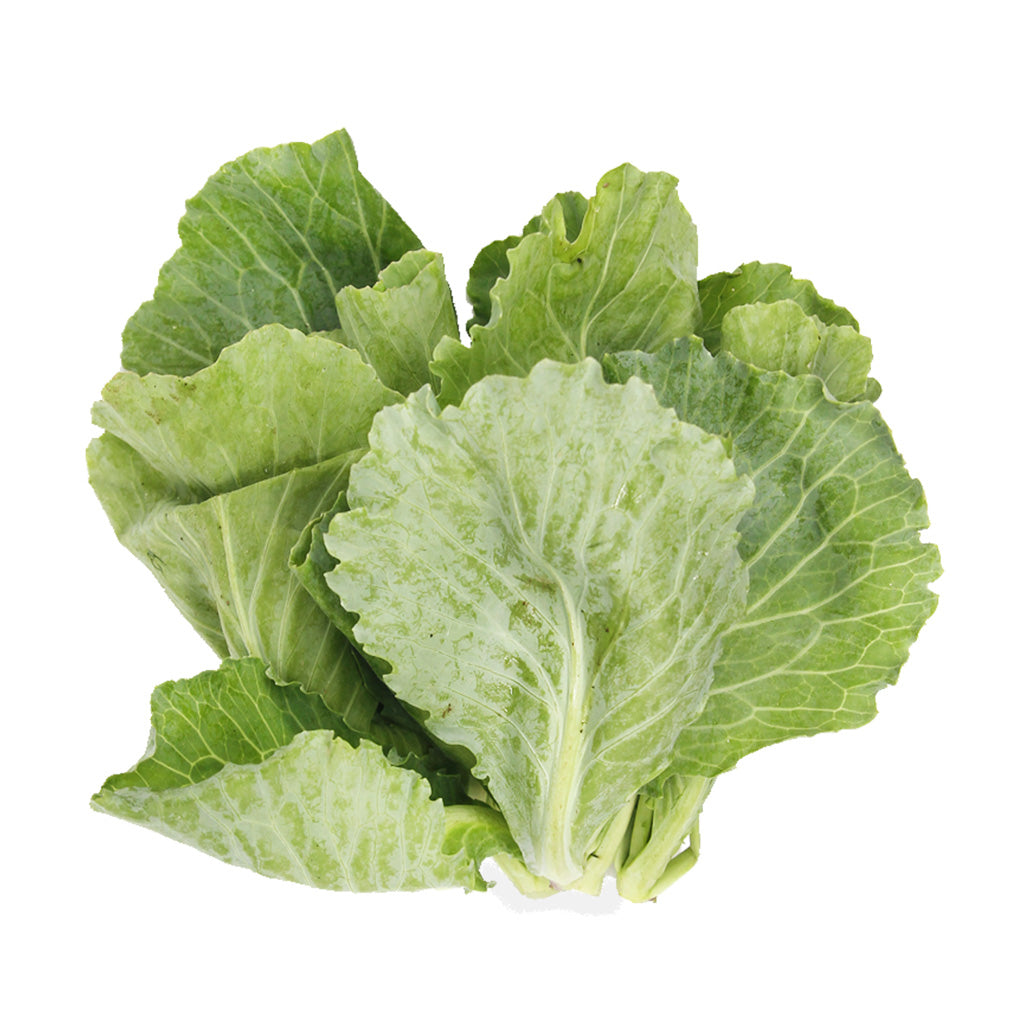 [FRESH] Organic Baby Kailan 200g Malaysia