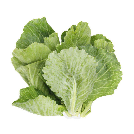[FRESH] Organic Baby Kailan 200g Malaysia
