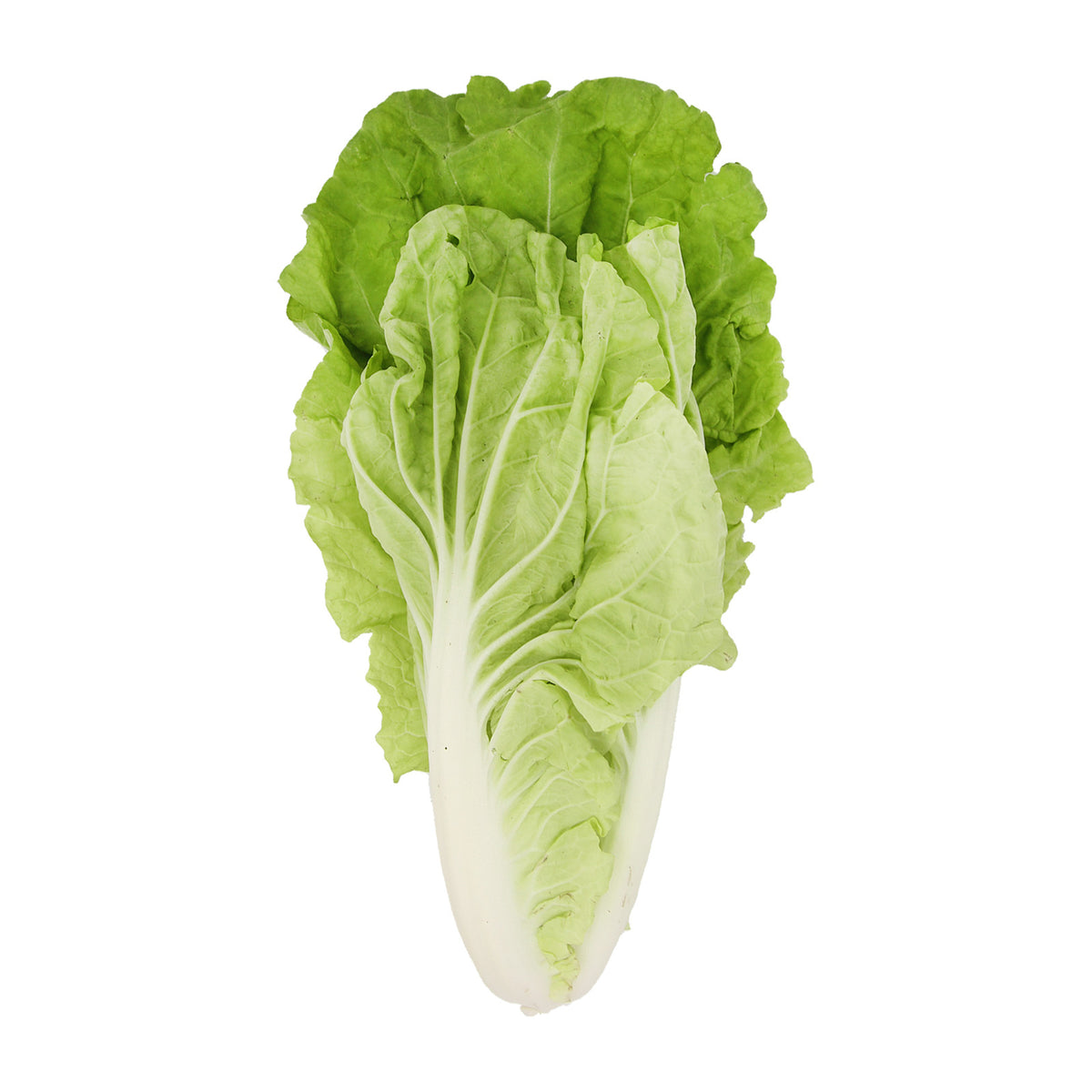 [FRESH] Organic TC Pak Choy 200g Malaysia