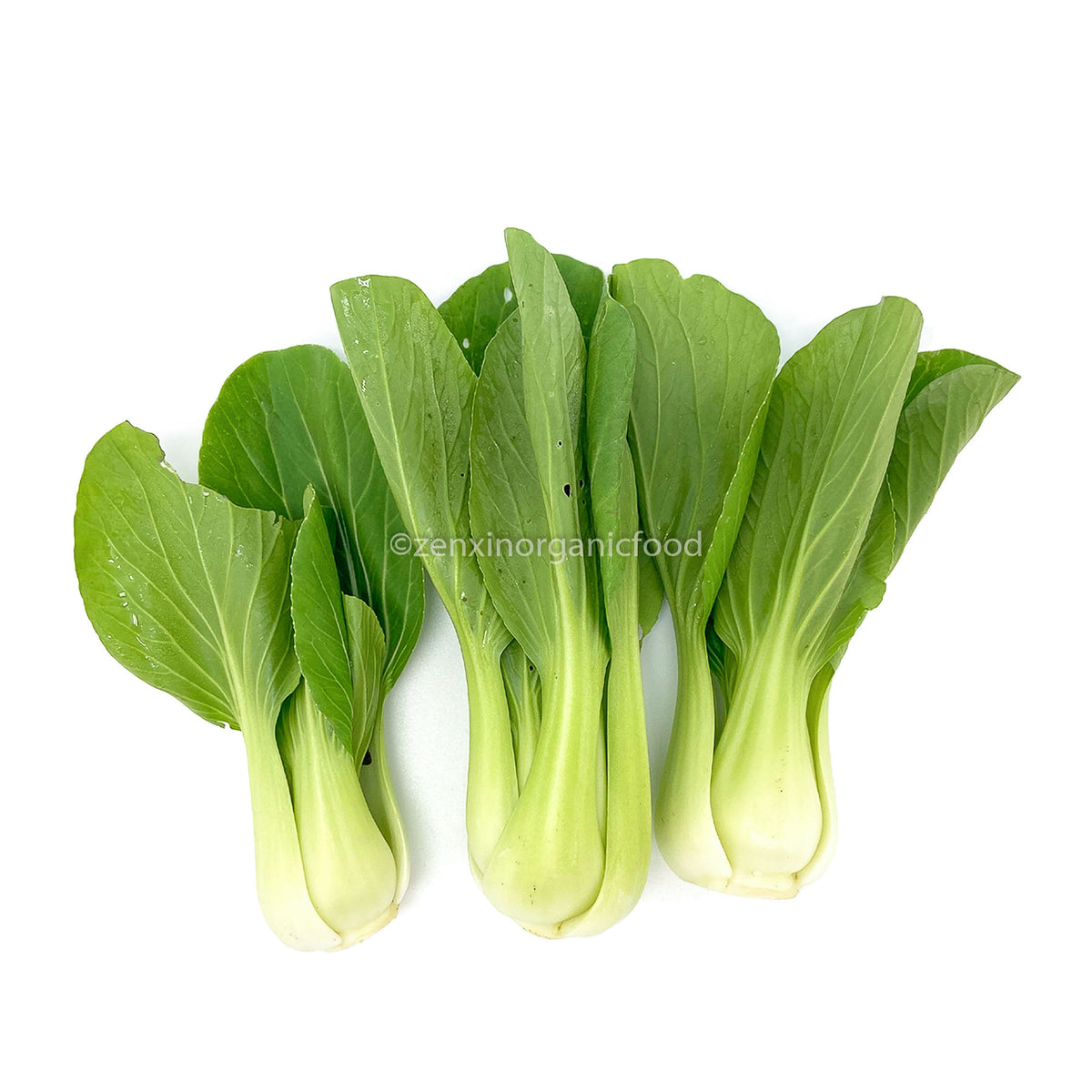 [FRESH] Organic Siew Pak Choy 200g Thailand