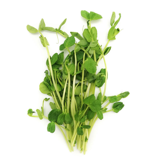 [FRESH] Organic Pea Sprouts 100g Malaysia