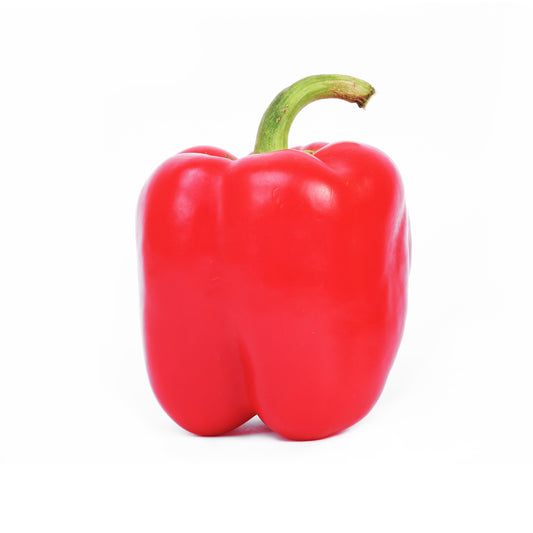 [FRESH] Organic Red Capsicum 1pc  Holland/Spain/Egypt
