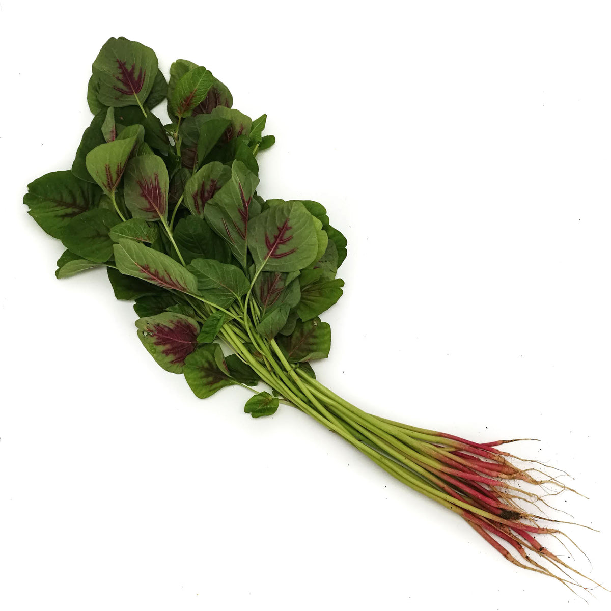 [FRESH] Organic Chinese Red Spinach 150g Thailand/Malaysia