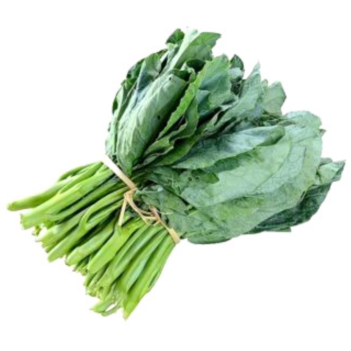 [FRESH] Organic Local Kale Malaysia 200g