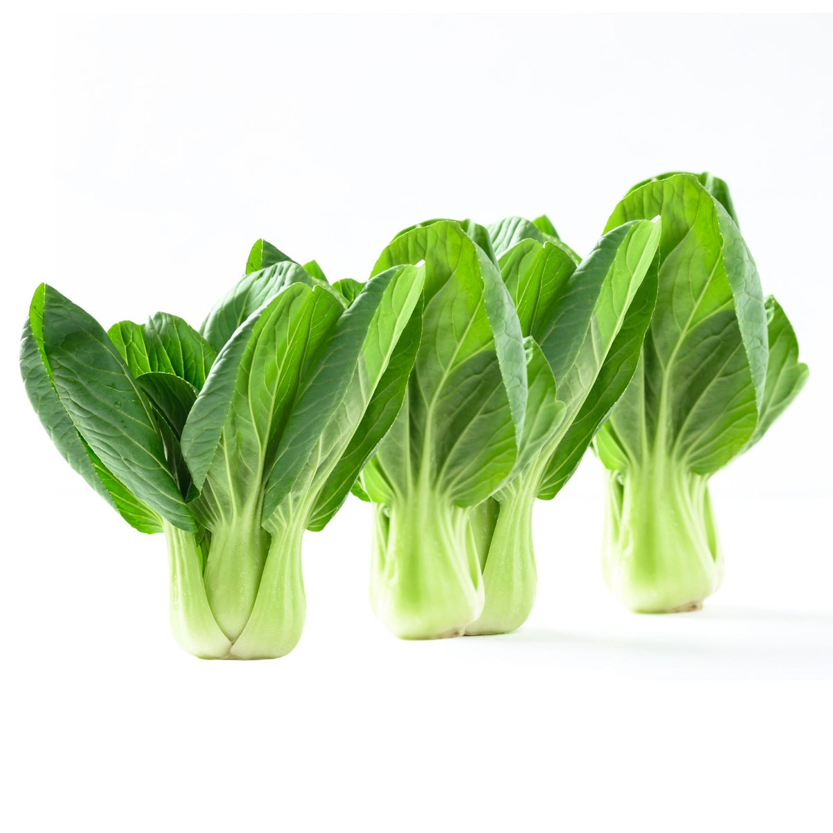 [FRESH] Organic Siew Pak Choy 200g Malaysia